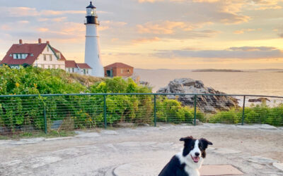 Susan and Orbit Leave New England—The First Hitch Up and Haul to NY